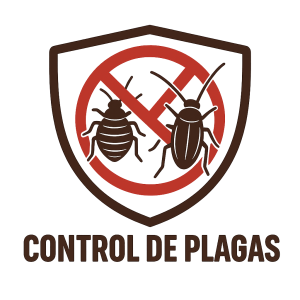 ¡Di Adiós a las Plagas con Fumigaciones Profesionales!
